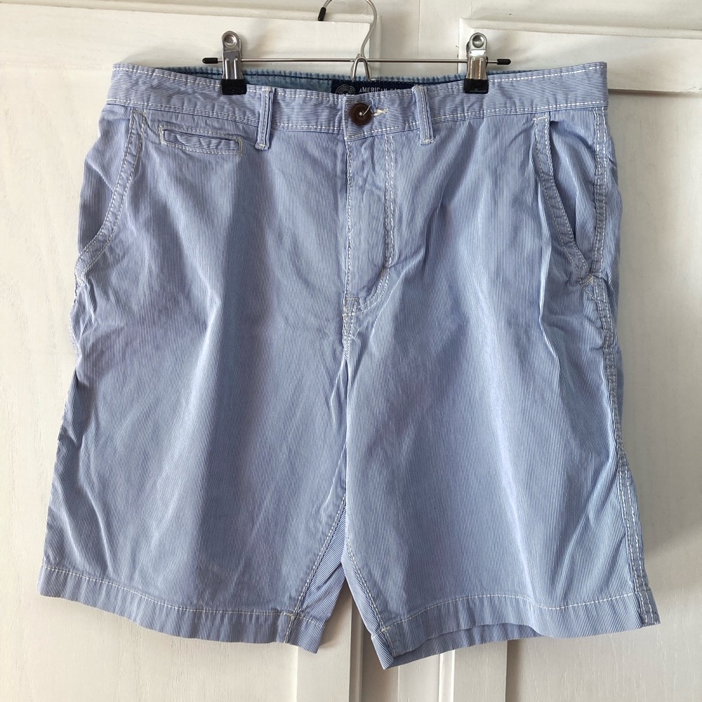 American Eagle Outfitters Light Blue Men's Shorts
